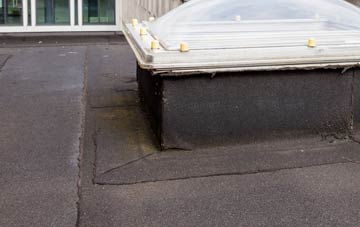 disadvantages of Howle flat roofs